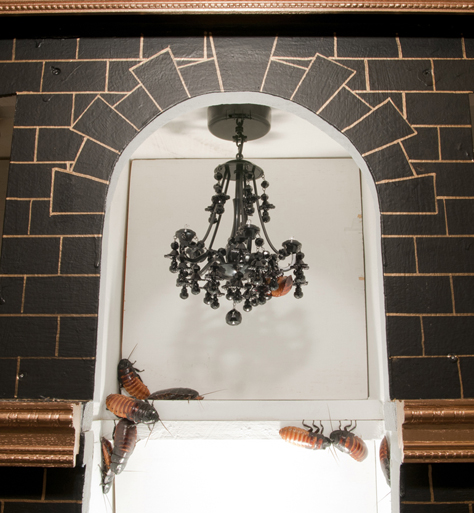 Cockroaches crawl inside the foyer of a roach motel built by Ph.D. student Adam Salyer for Spring Fest\'s Bug Bowl, on Wednesday, April 10, 2013 in Purdue University\'s Smith Hall.