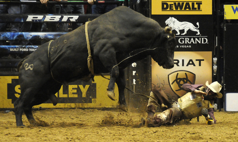 Professional Bull Riders bull Hillbilly Bones rears up after bucking Cody Nance on the second day of the Built Ford Tough Invitational on Apr. 15, 2012, at Bankers Life Fieldhouse in Indianapolis. Fabiano Vieira of Perola, Brazil, won the invite atop Who Dat in the championship round, earning $37,885.