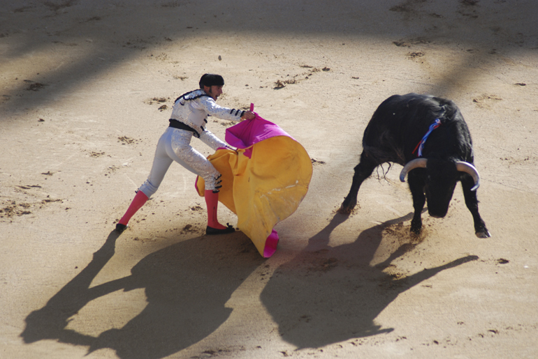 A bullfighter riles up a bull for the main toreador in a corrida de toro during the Feria de San Isidro on May 16, 2010, in the Plaza de Toros de Las Ventas in Madrid.