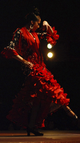 Flamenco dance, El Palacio Andaluz, Seville, Spain, 2010