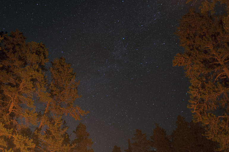This is the view up, from Dorgan\\\'s and my campsite on Casper Mountain. This night, I slept outside of my tent, under these stars. I hadn\\\'t seen such a clear sky since I\\\'d camped in the Boundary Waters of northern Minnesota ten years ago.